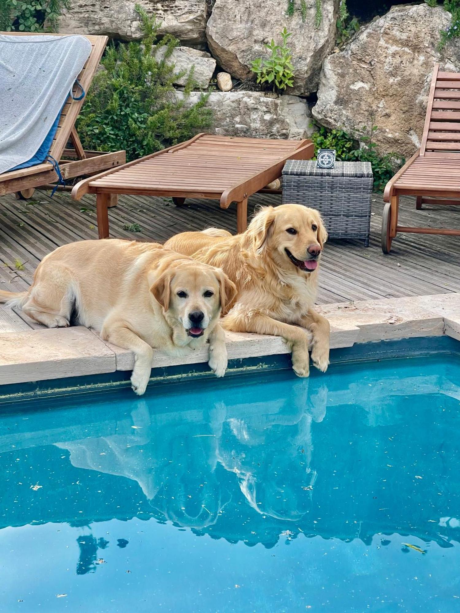 Callas O Patio Du Mas B&B 외부 사진